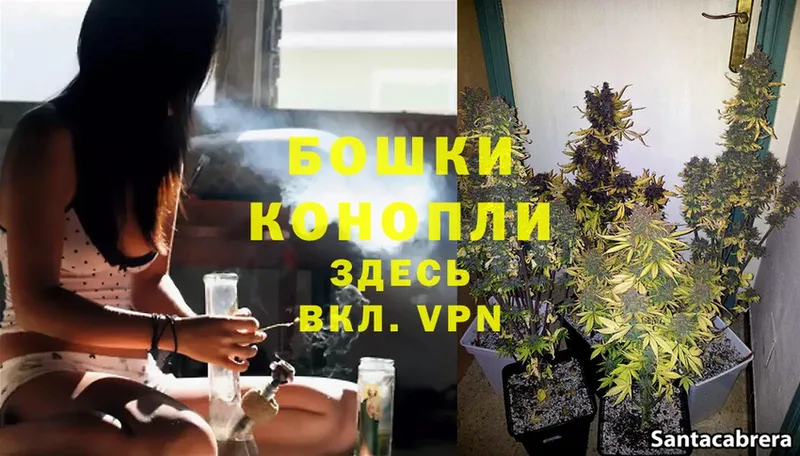 купить  цена  Алатырь  Шишки марихуана THC 21% 